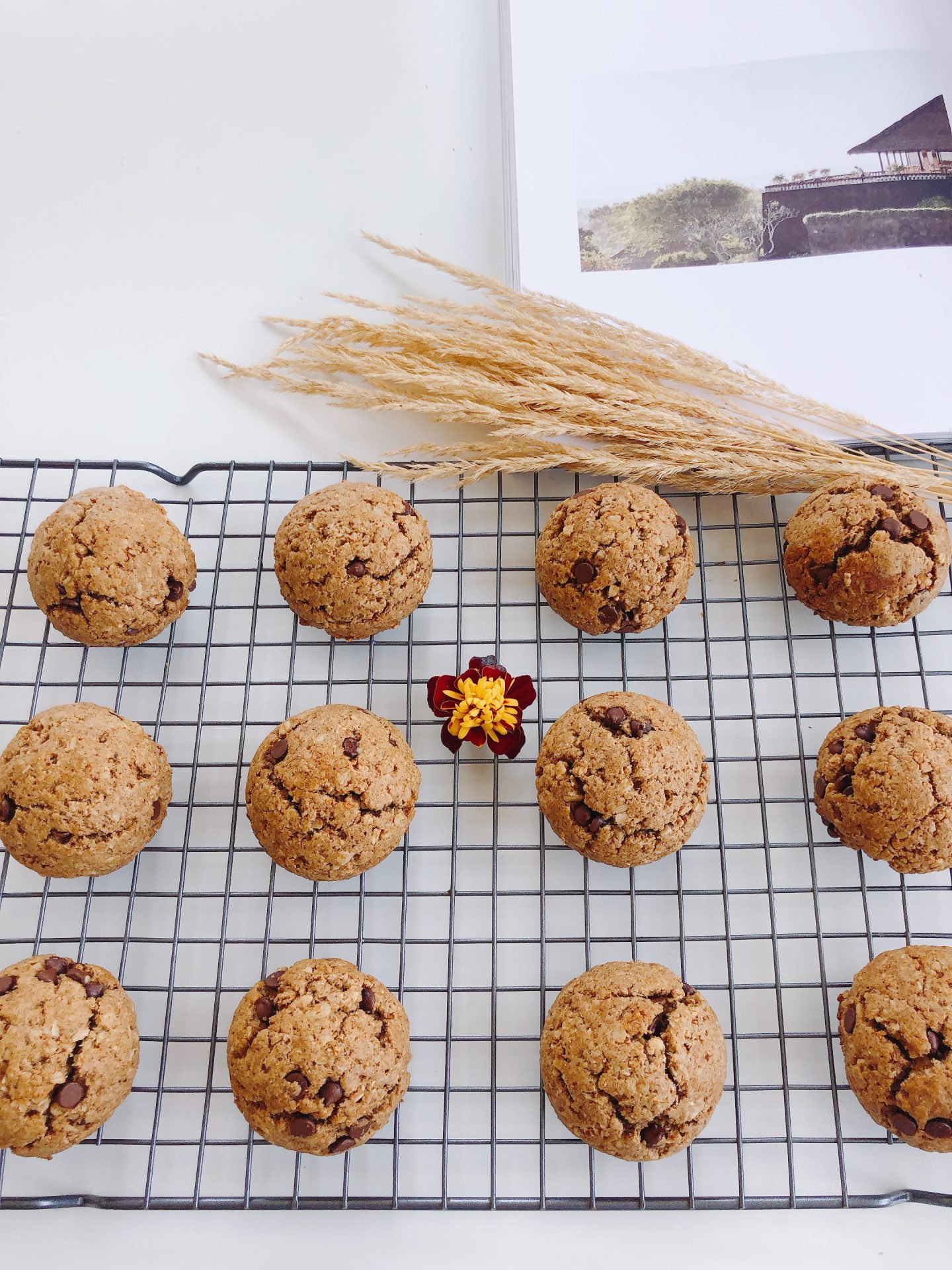 Cookies cooling on wire rack