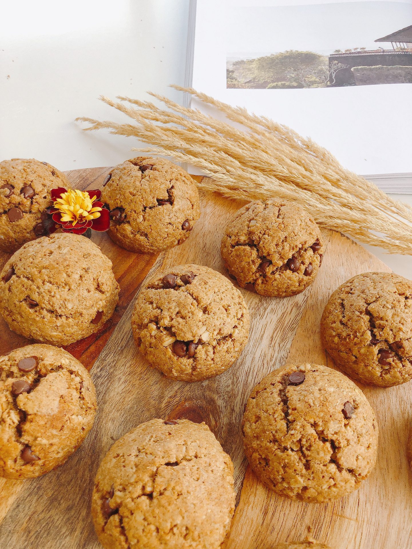 Picture of Oatmeal Chocolate Chip Cookies